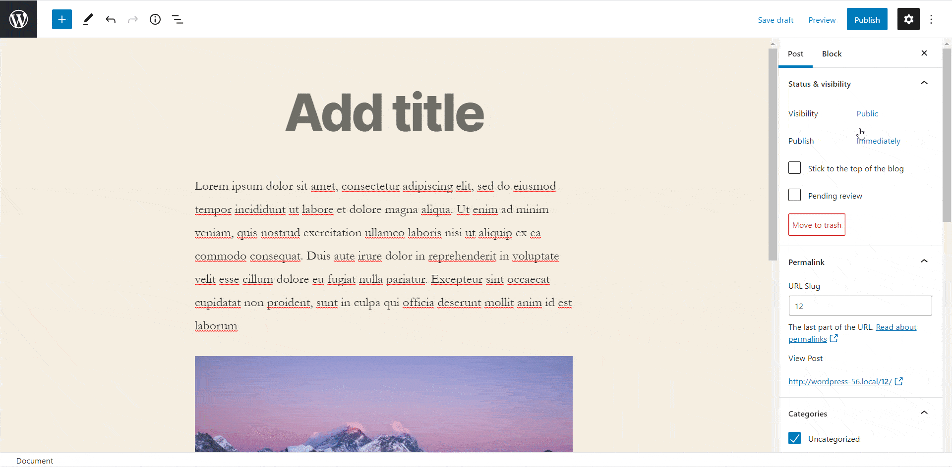 WordPress 5.6 Next Release WordPress 5.6 Next Release