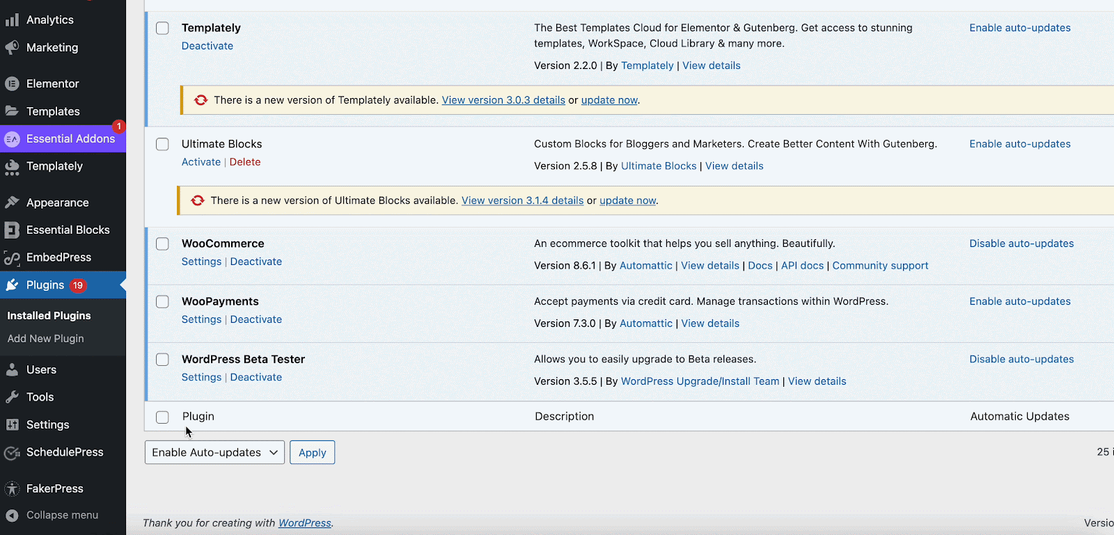 WordPress beta tester WordPress beta tester