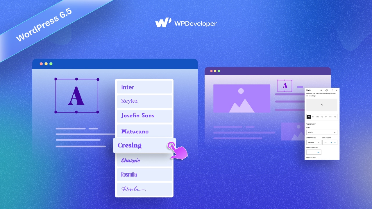 WordPress Font Library