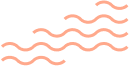 Perks & Benefits of WPDeveloper 5