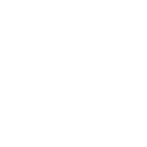 Perks & Benefits of WPDeveloper 54